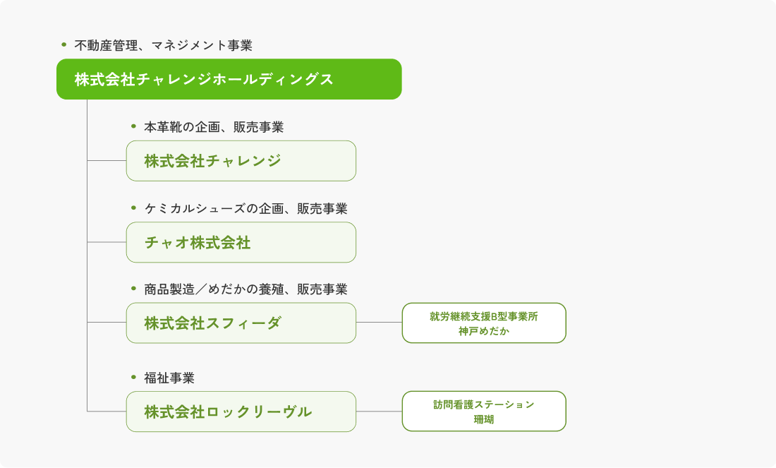 株式会社チャレンジホールディングスの組織図